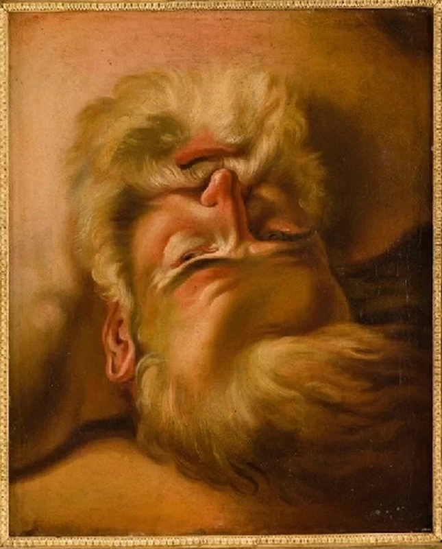 Studio di testa rovesciata - Le Puy, en, Velay, musée Crozatier